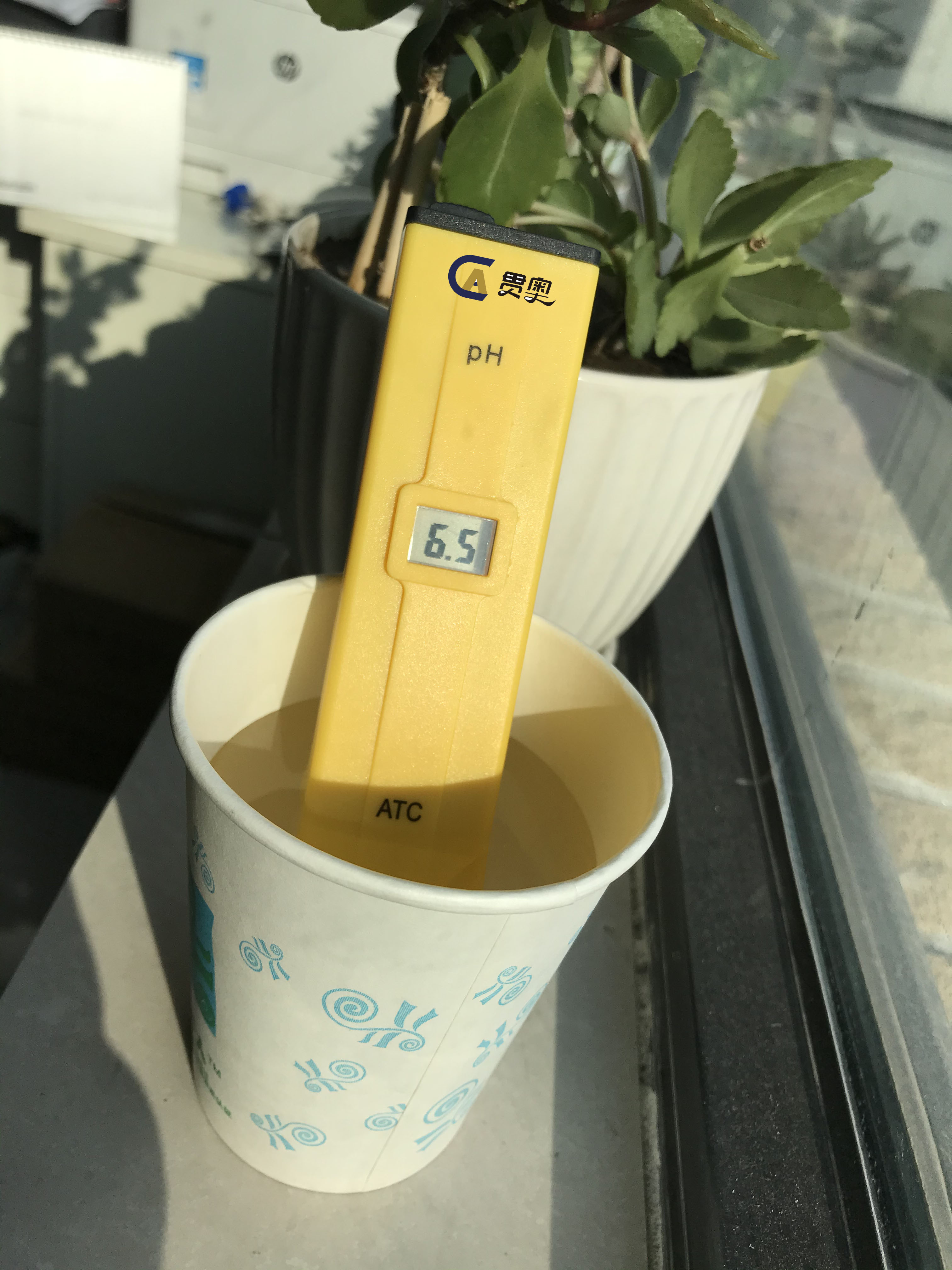 貫奧水質(zhì)酸堿度檢測計(jì) 貫奧水質(zhì)酸堿度檢測計(jì)